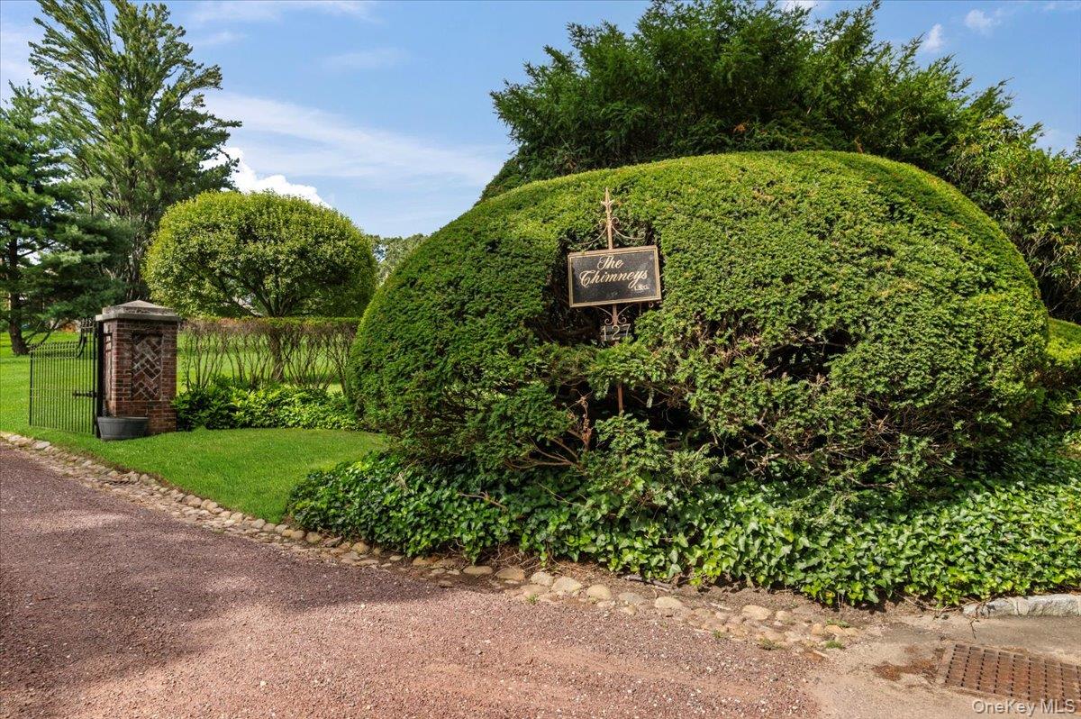 127 Horseshoe Road Mill Neck, NY 11765 - Photo 46 of 48 a view of a backyard with plants