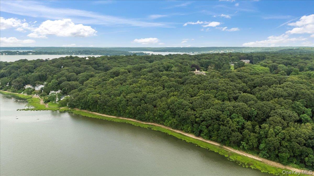 127 Horseshoe Road Mill Neck, NY 11765 - Photo 48 of 48 a view of a city with lush green forest