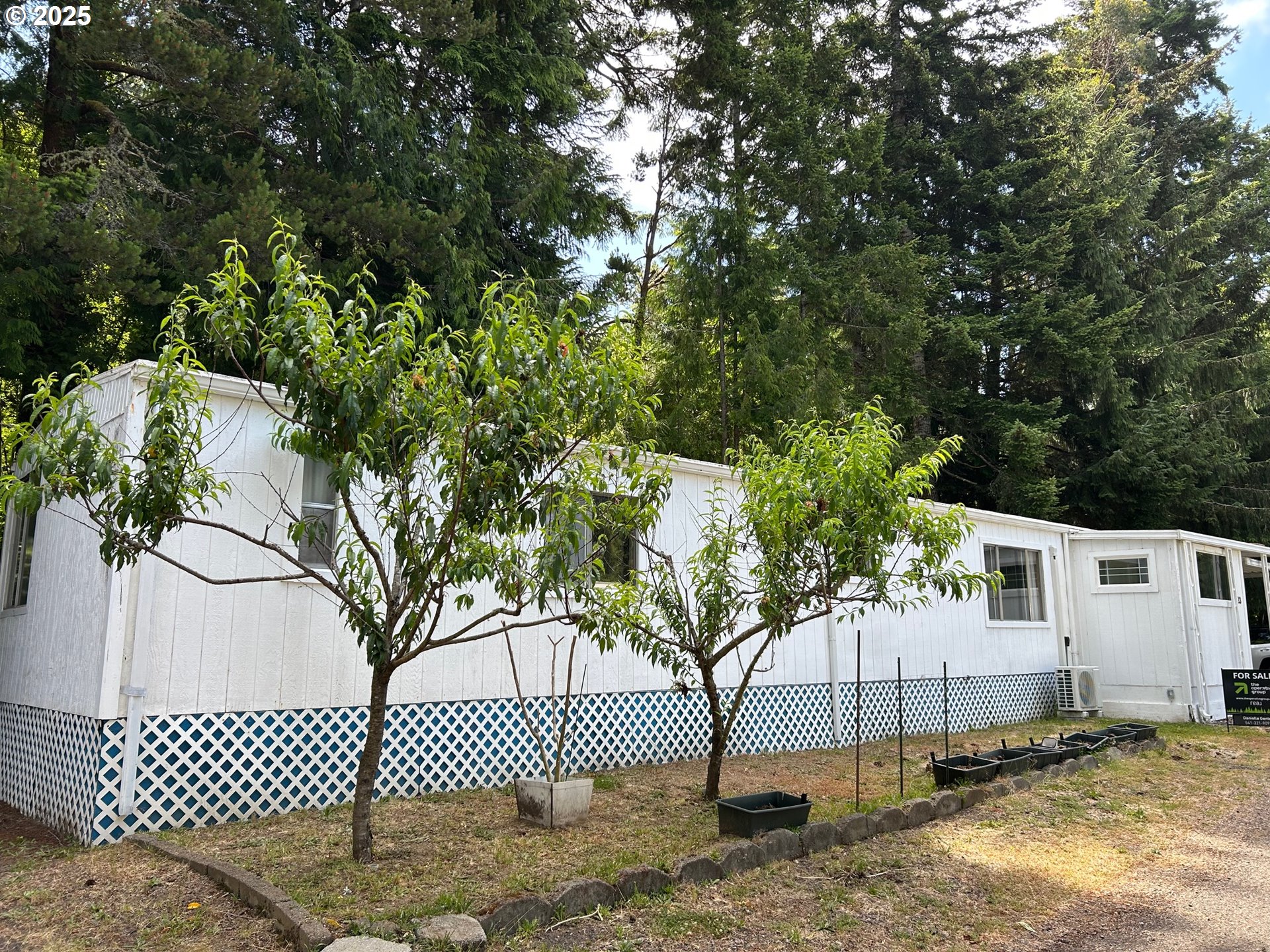 a view of a house with a tree