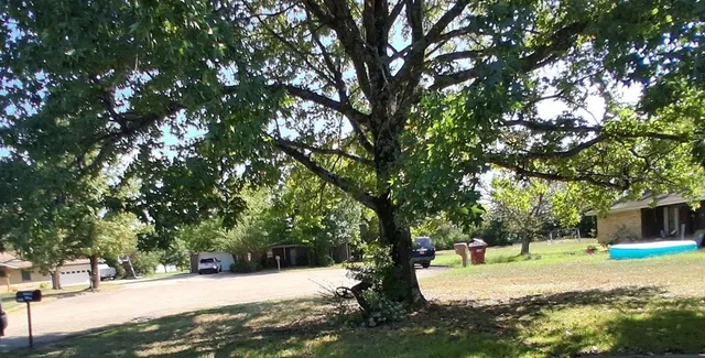 a view of a yard with a tree
