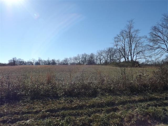 0 Ingram Road Leoma, TN 38468 - Photo 2 of 8
