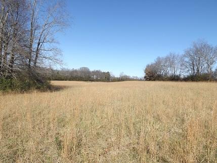 0 Ingram Road Leoma, TN 38468 - Photo 7 of 8