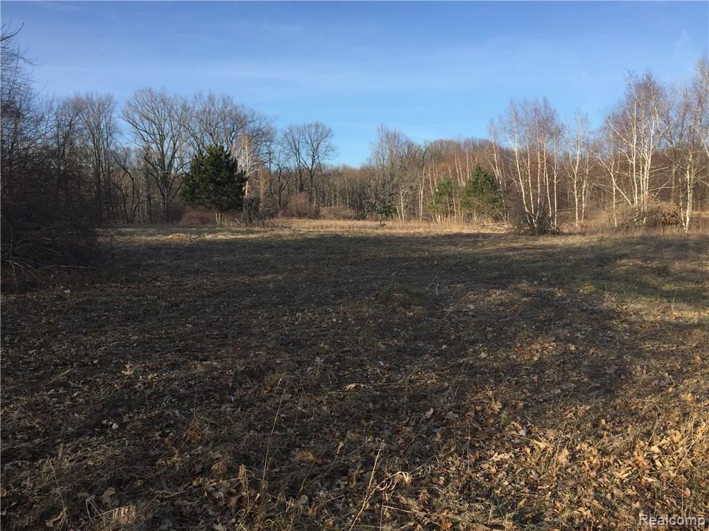 Vl Hendrie Road Metamora, MI 48455 - Photo 1 of 1