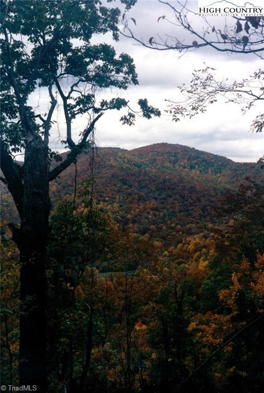 Tbd Tbd Edwin Blevins Road Lansing, NC 28643 - Photo 10 of 13