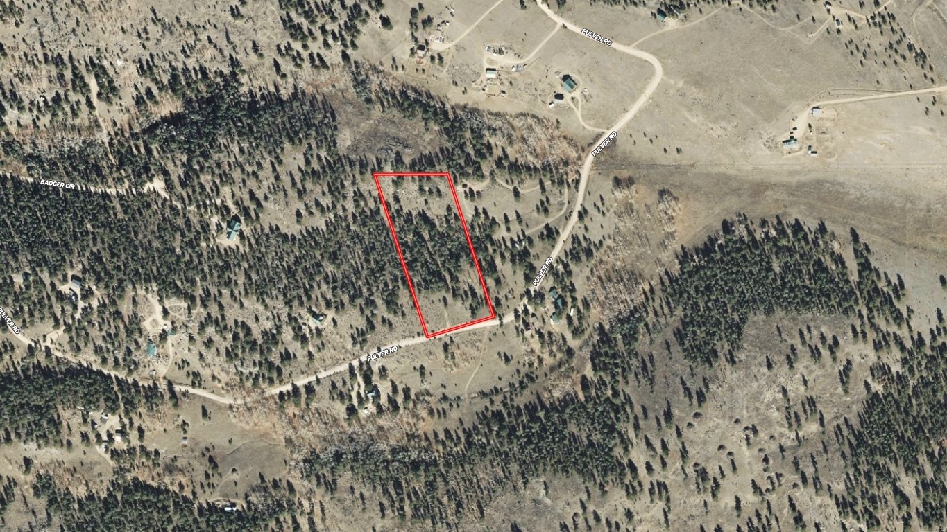 1036 Pulver Road Lake George, CO 80827 - Photo 26 of 27