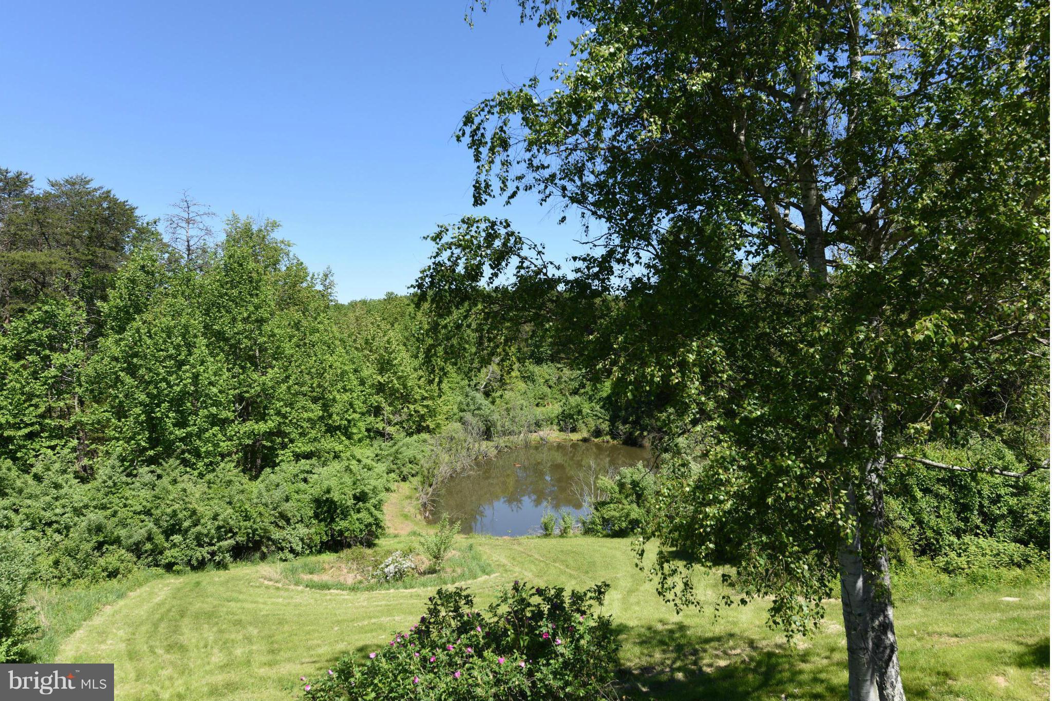 279 Ridgeview Lane Washington, VA 22747 - Photo 4 of 11 a view of a garden with a tree