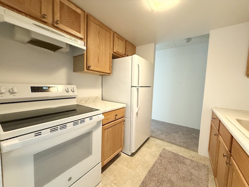 1 Renaissance Place, Unit 215 Palatine, IL 60067 - Photo 4 of 13