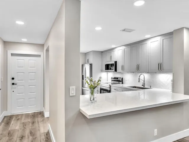 a view of a yard with plants and large trees