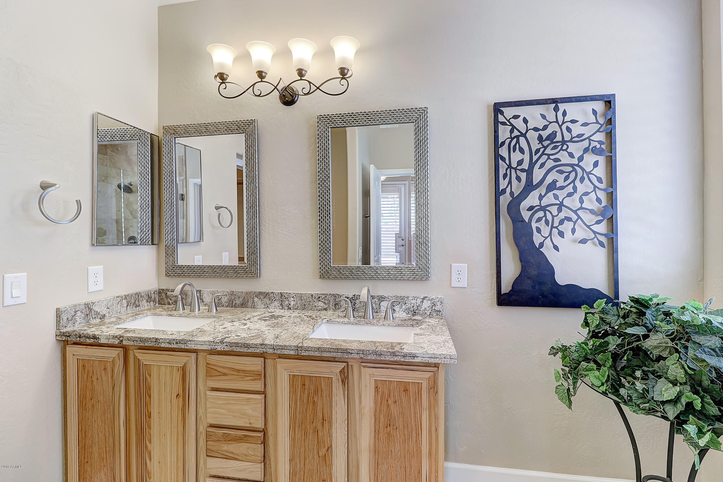 14134 West Boca Raton Road Surprise, AZ 85379 - Photo 16 of 36 B (22)