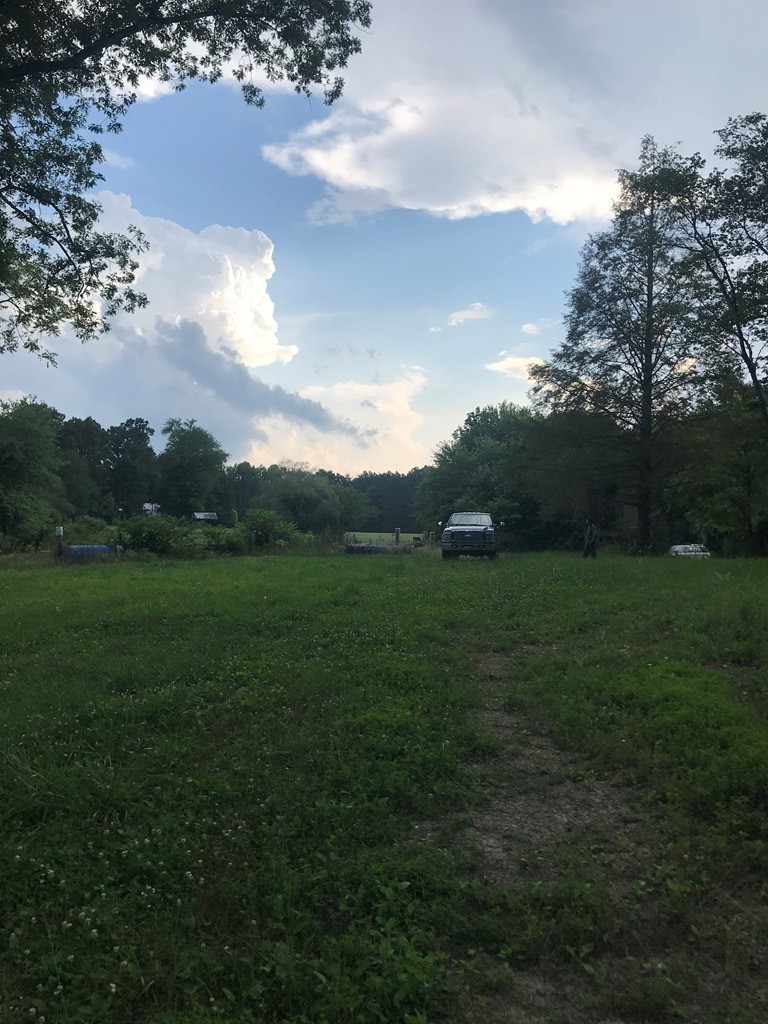 979 Shaver Road Dayton, TN 37321 - Photo 8 of 15