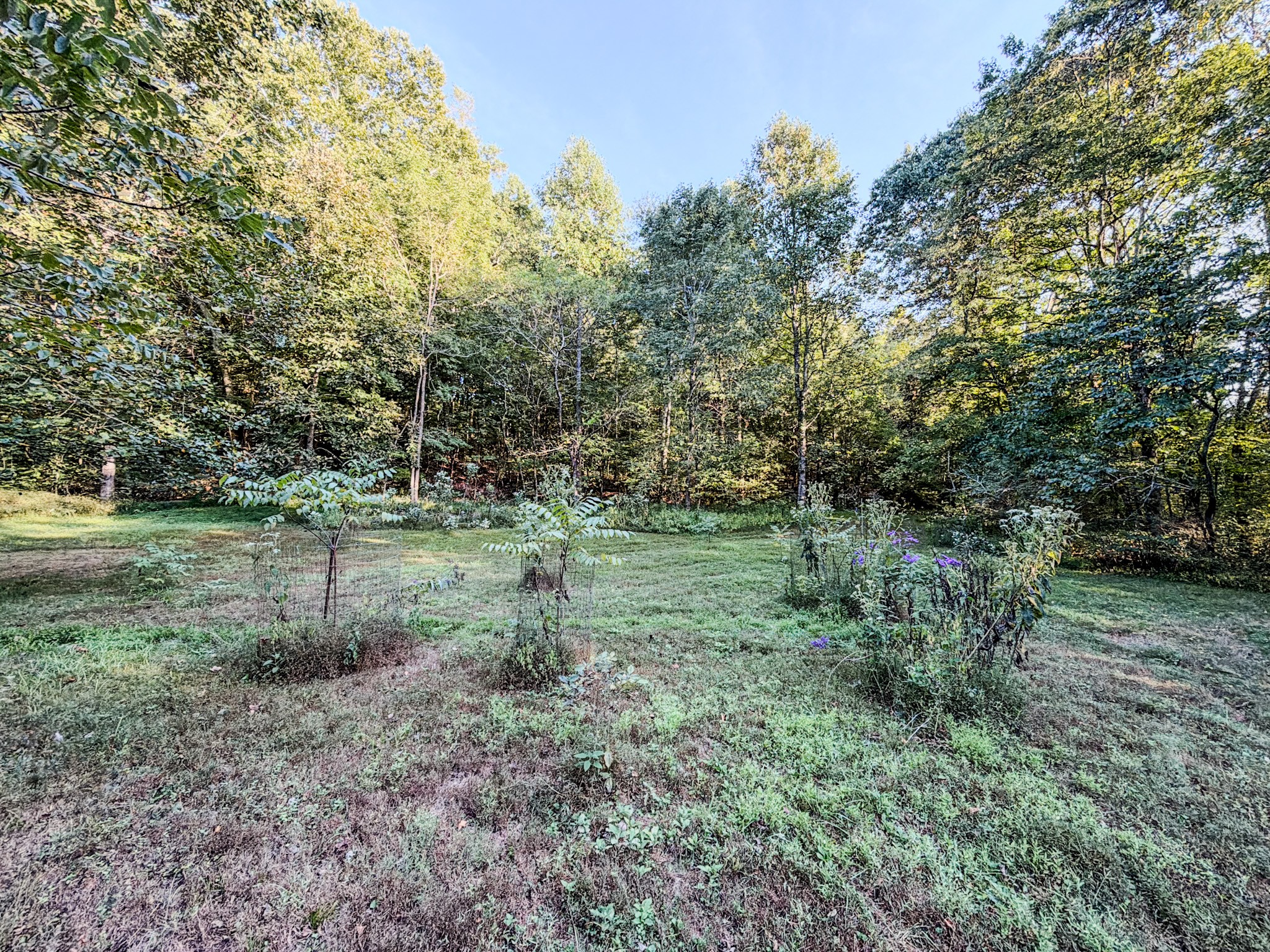 360 Long Branch Road Lawrenceburg, TN 38464 - Photo 41 of 52 Gallery Image 41