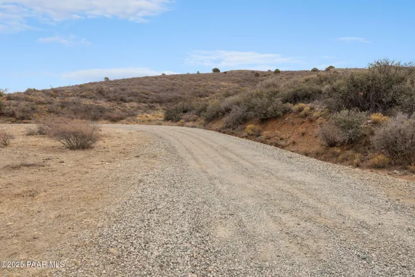 a view of a dry yard