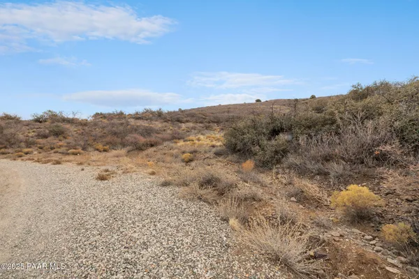 a view of a dry field with trees in background