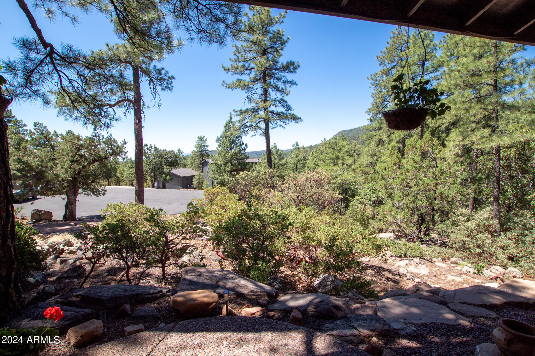 4533 Sundown Lane Pine, AZ 85544 - Photo 4 of 38 View to the street from the Home