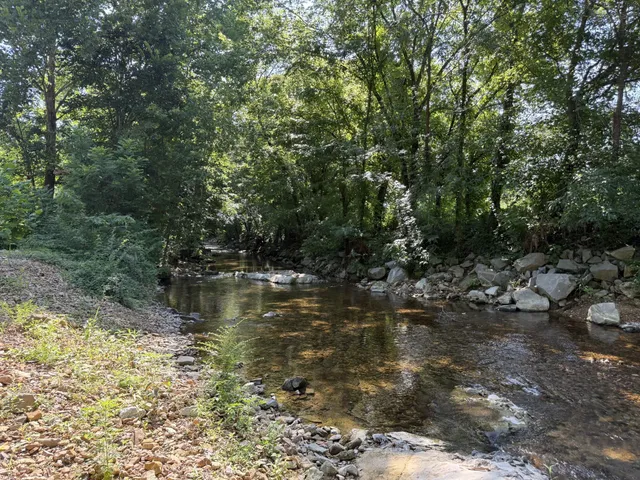 a view of lake with green space