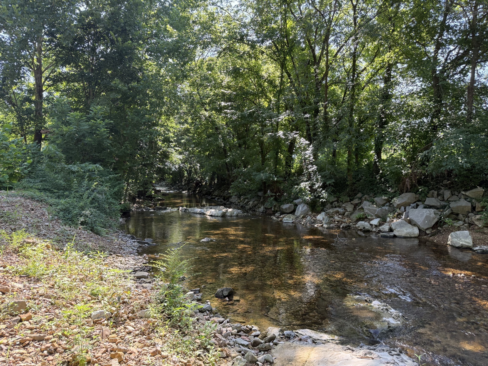 424 East Commerce Street Waverly, TN 37185 - Photo 2 of 7 a view of lake with green space