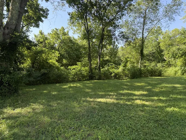 a view of a trees with a yard