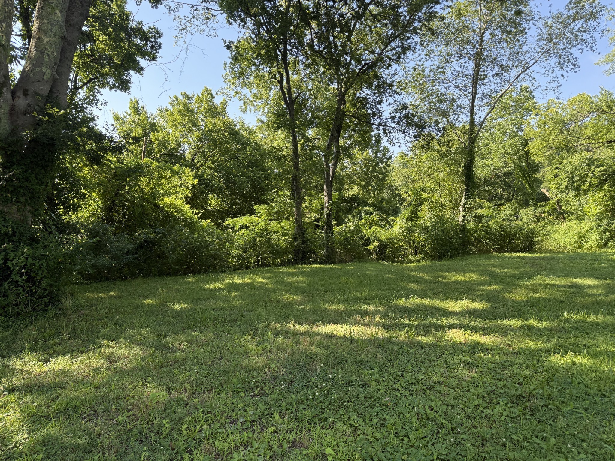 424 East Commerce Street Waverly, TN 37185 - Photo 4 of 7 a view of a trees with a yard