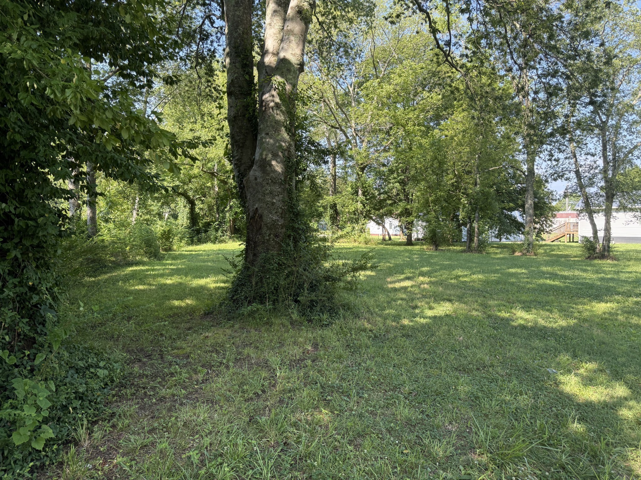 424 East Commerce Street Waverly, TN 37185 - Photo 5 of 7 a view of outdoor space with trees all around
