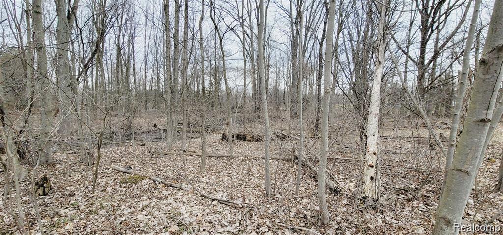 2611 Miller Road Allenton, MI 48002 - Photo 35 of 41 Additional content