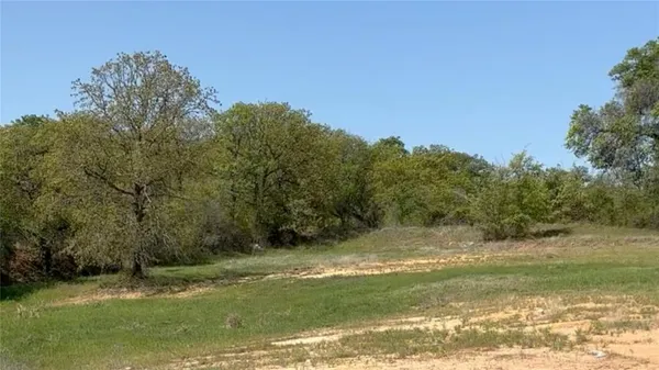 a view of a yard with a tree