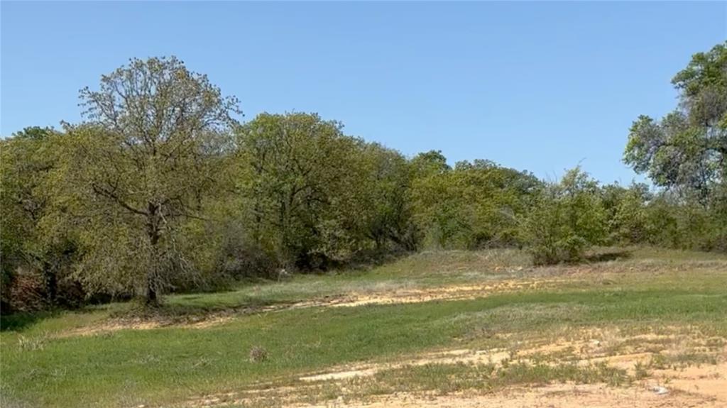 1031 Akin Road Poolville, TX 76487 - Photo 1 of 9 a view of a yard with a tree