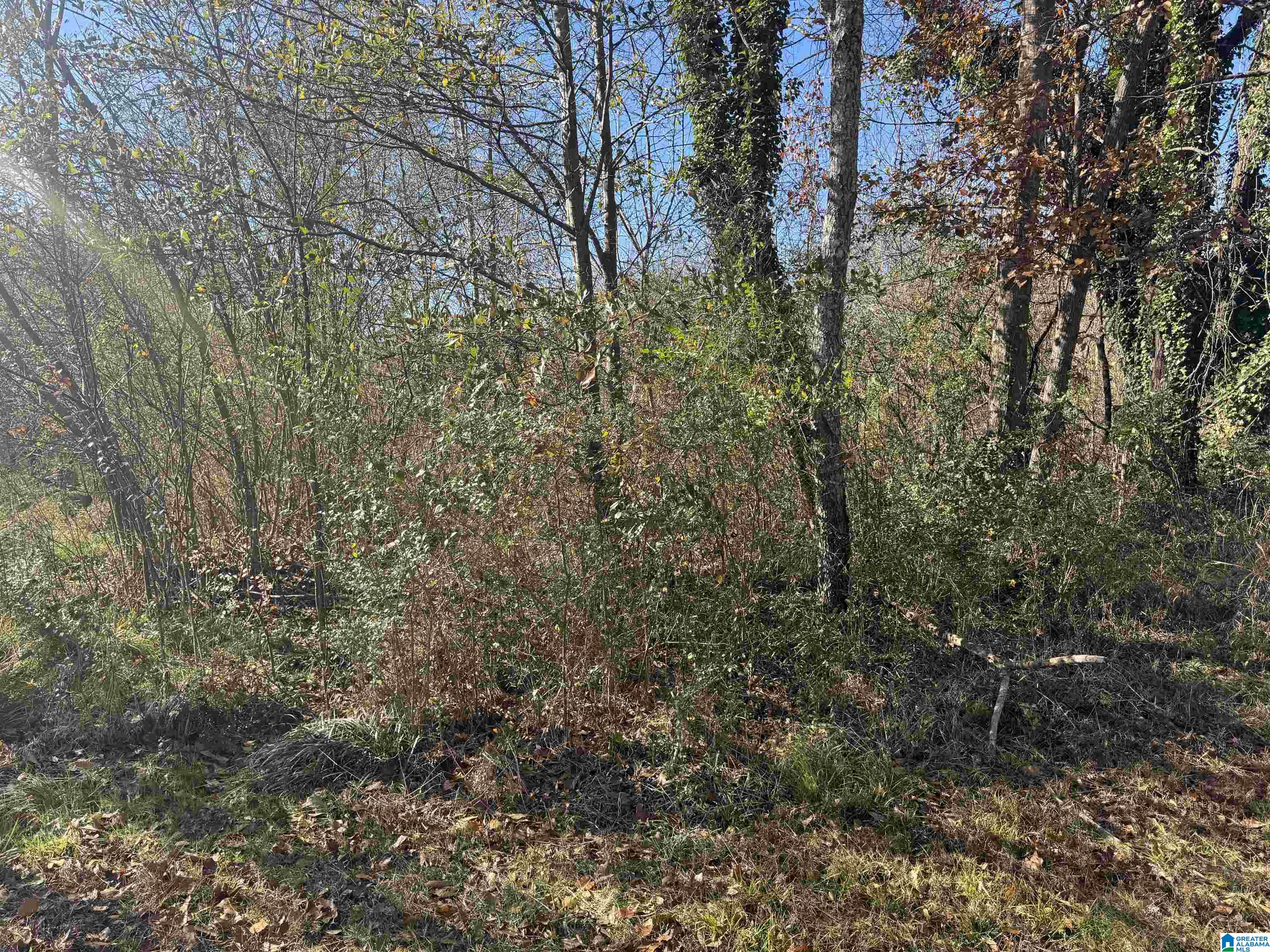 0 Glade Road, Unit 1 Anniston, AL 36206 - Photo 4 of 30