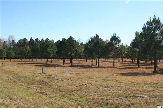 Lot 2 Red Bluff Road Loris, SC 29569 - Photo 1 of 2 Gallery Image 1