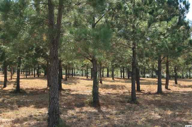 Lot 2 Red Bluff Road Loris, SC 29569 - Photo 2 of 2 Gallery Image 2
