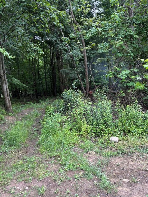 2994 County Line Road Cochranton, PA 16314 - Photo 4 of 6