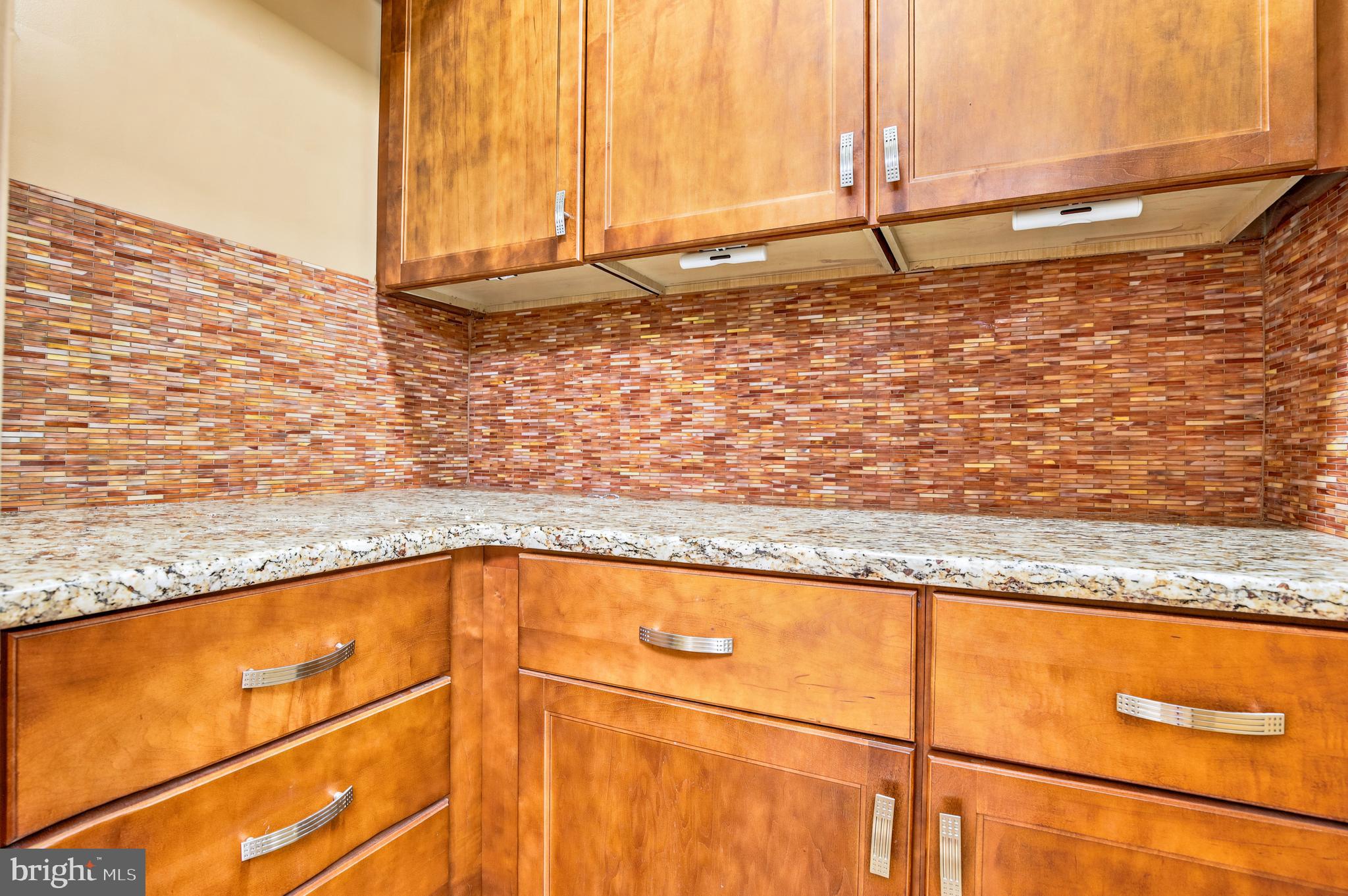 122 Bancroft Road, Unit 1C Lansdale, PA 19446 - Photo 18 of 29 Walk-In Pantry with Custom Cabinets
