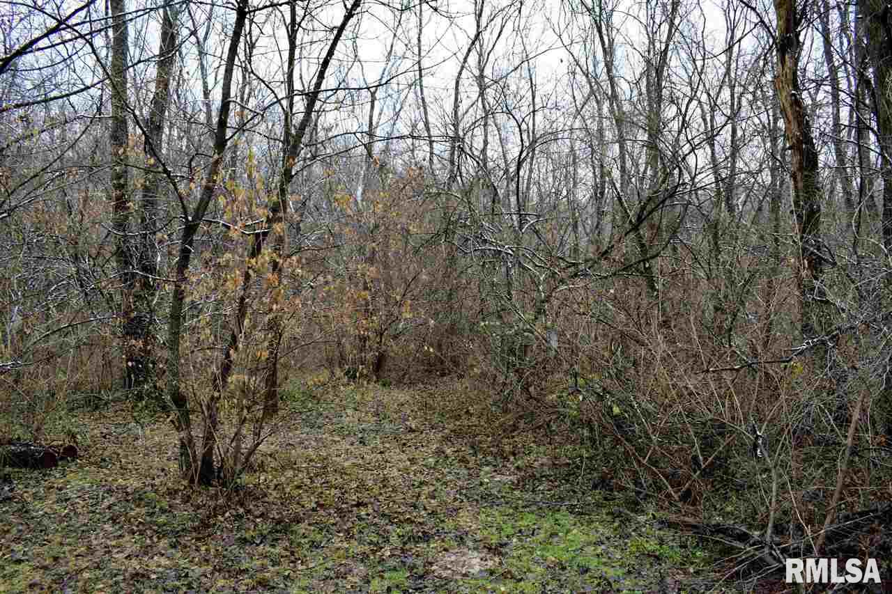 0 East Truitt Road Chillicothe, IL 61523 - Photo 3 of 4 Gallery Image 3