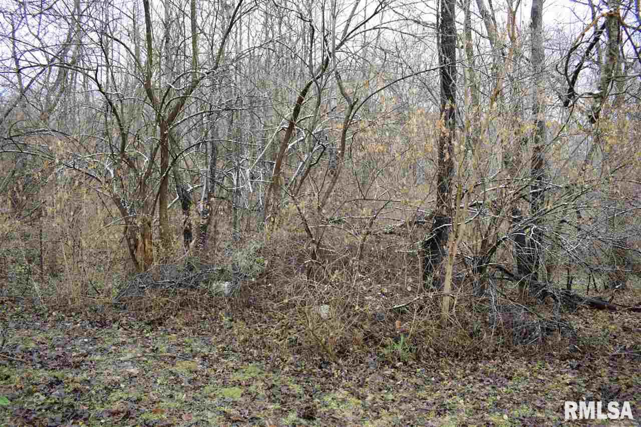 0 East Truitt Road Chillicothe, IL 61523 - Photo 4 of 4 Gallery Image 4