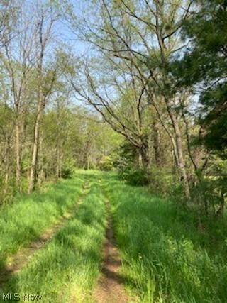Yager Road Clinton, OH 44216 - Photo 4 of 6