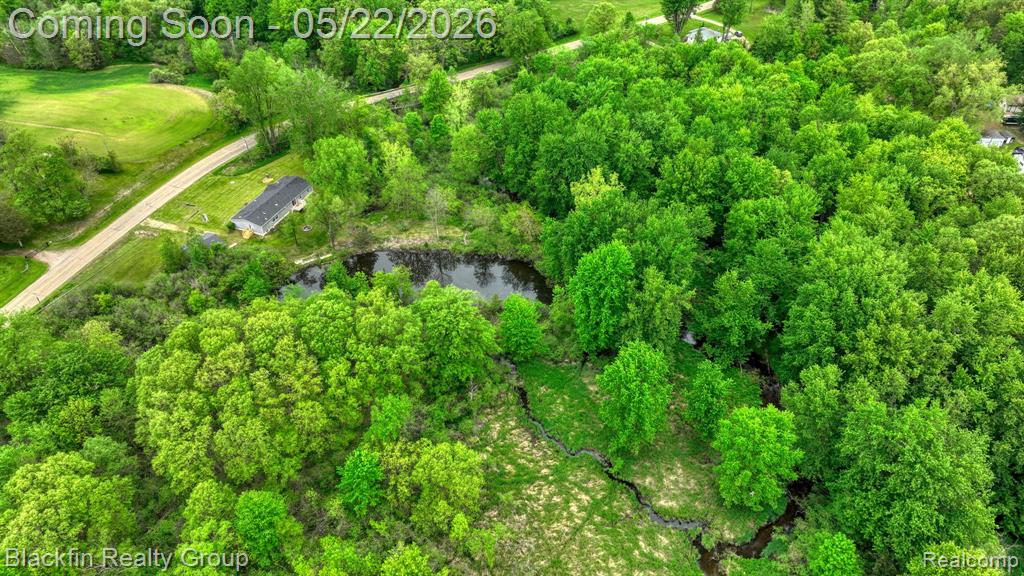 7001 Sweezy Lake Road Brooklyn, MI 49230 - Photo 61 of 63