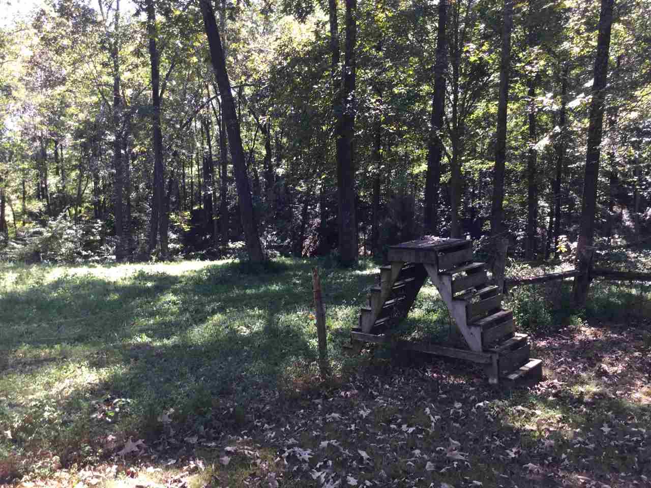 1533 Cool Springs Road Morgantown, KY 42261 - Photo 6 of 21 Gallery Image 6