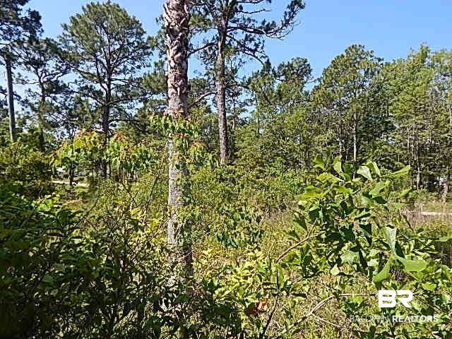 15875 Williams Street Coden, AL 36523 - Photo 14 of 15