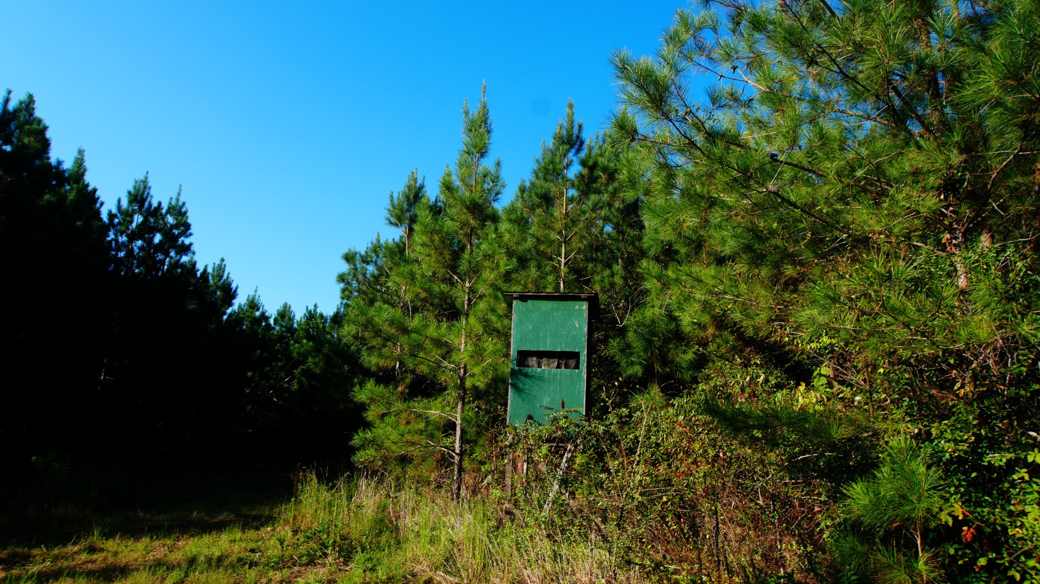 3 Ables Road Cherokee, AL 35616 - Photo 5 of 15 Gallery Image 5