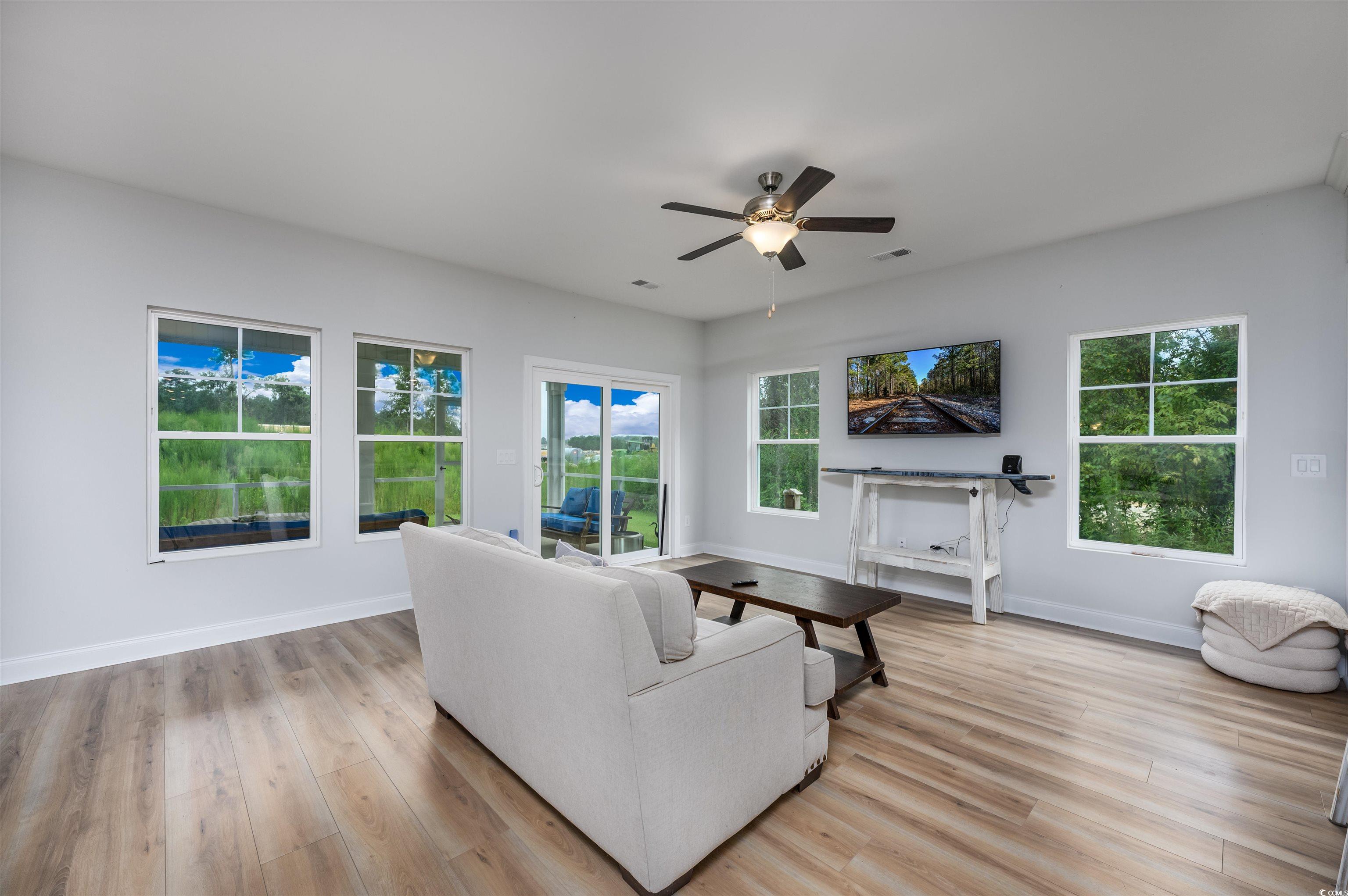 2550 Dogwood Road Longs, SC 29568 - Photo 3 of 35 Living room featuring healthy amount of natural light, light wood-style flooring, and a ceiling fan
