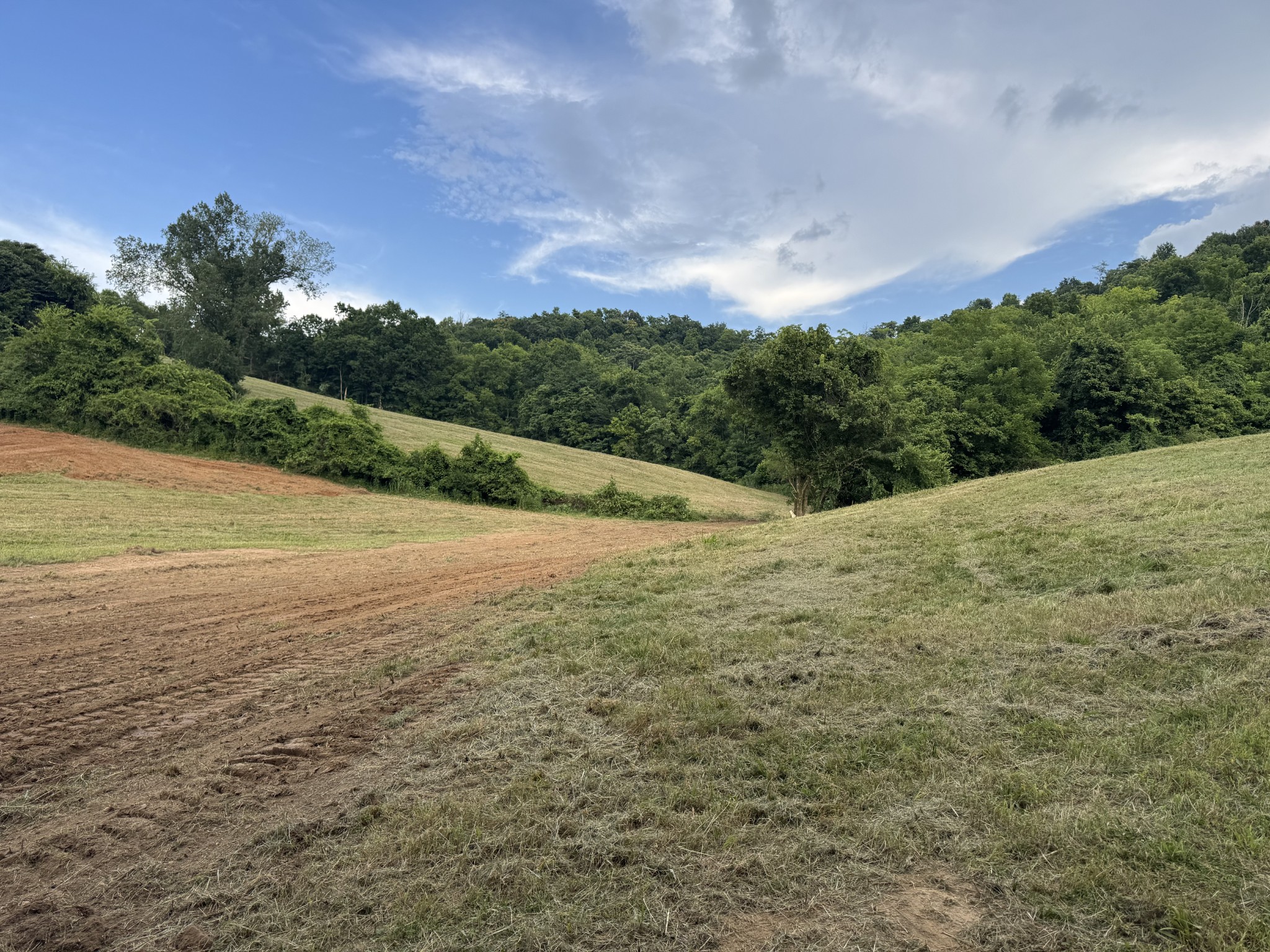 0 Sorrells Road Petersburg, TN 37144 - Photo 41 of 44 Gallery Image 41