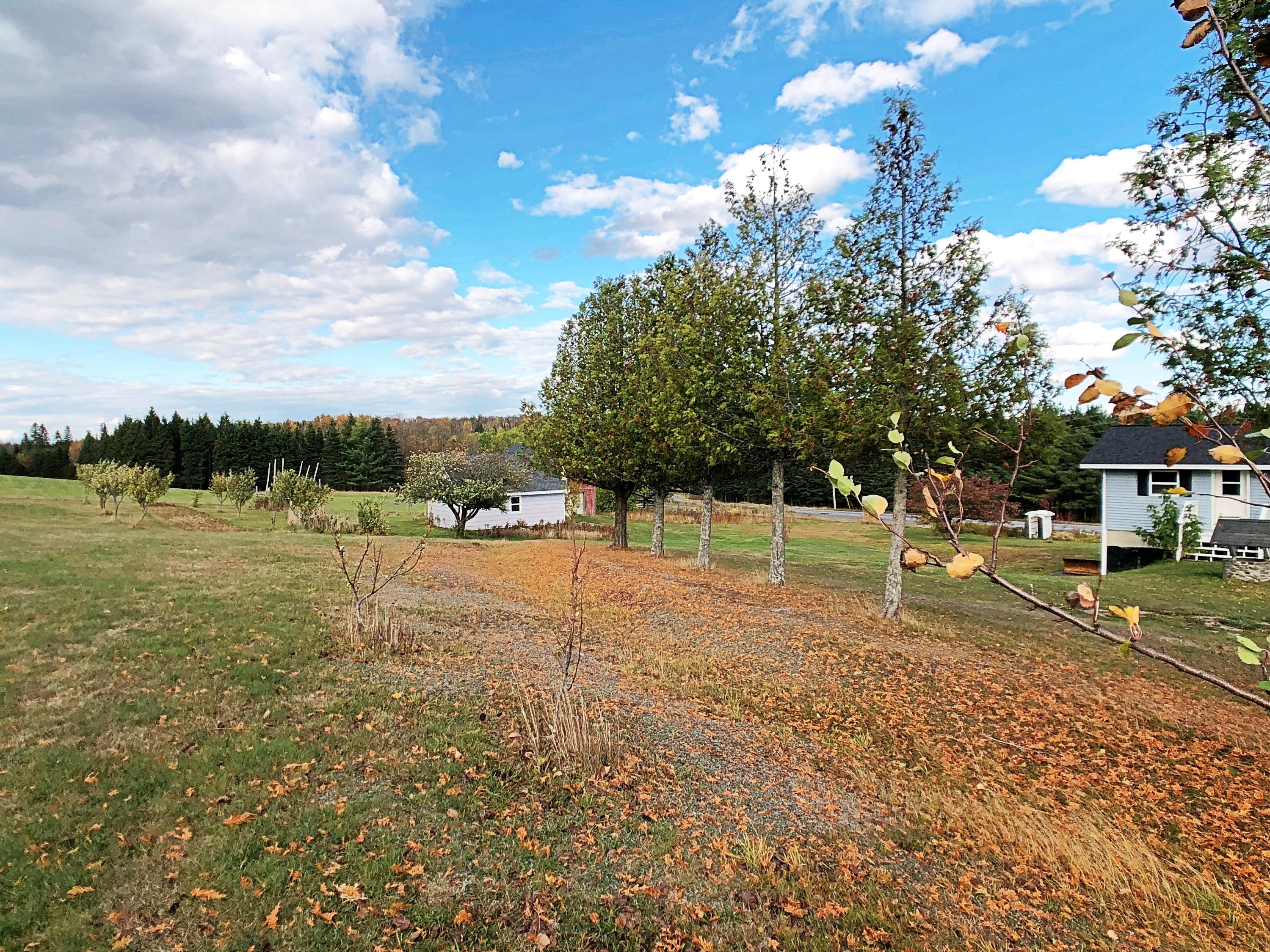1778 Portage Road Ashland, ME 04732 - Photo 36 of 40 SawyerIMG_5968