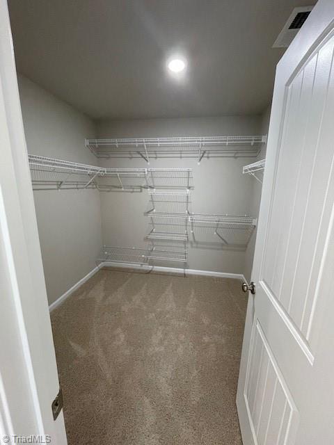3198 Riley Ford Trail High Point, NC 27265 - Photo 19 of 32 Primary Closet