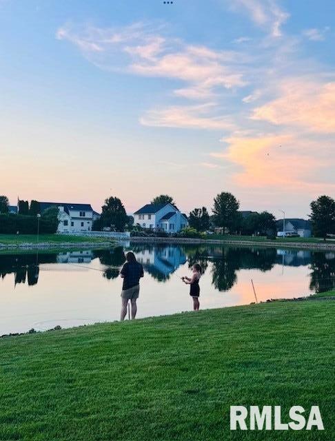 6421 Winterberry Lane Springfield, IL 62712 - Photo 52 of 54