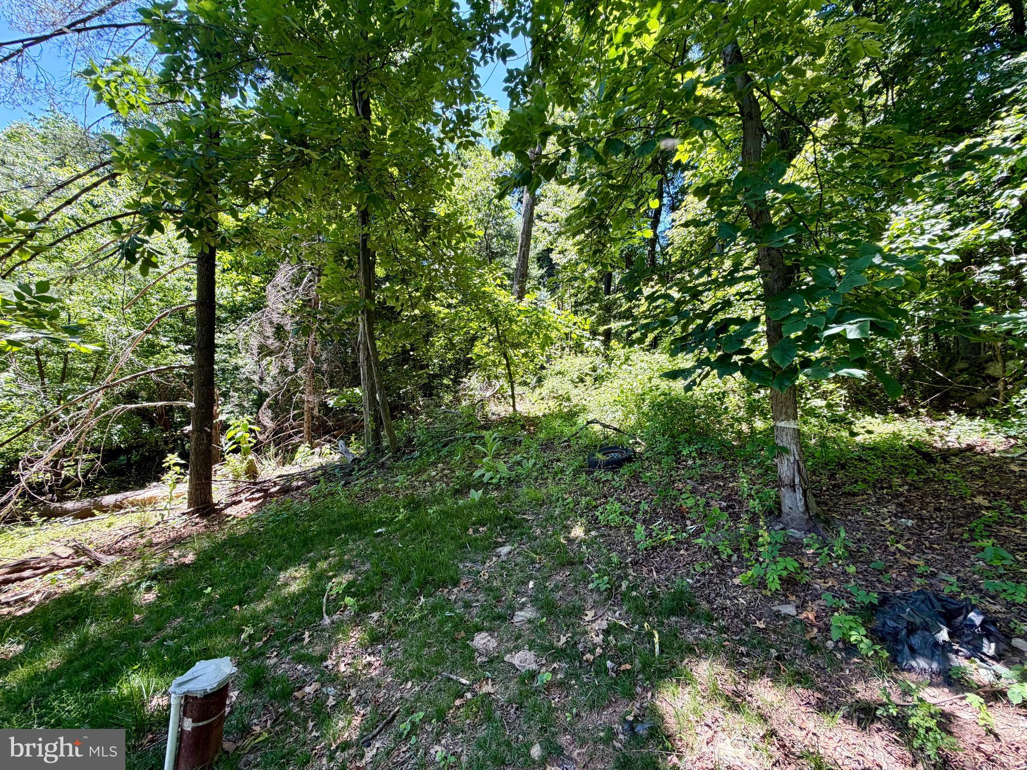 10121 Putman Road Frederick, MD 21702 - Photo 19 of 22