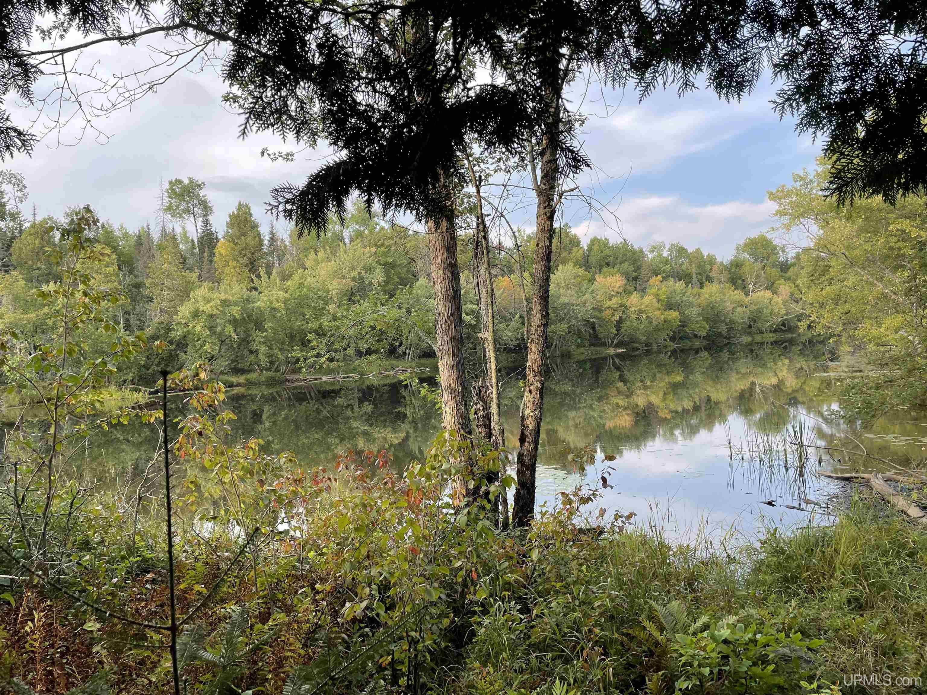 Tbd Soderena Road Crystal Falls, MI 49920 - Photo 4 of 19