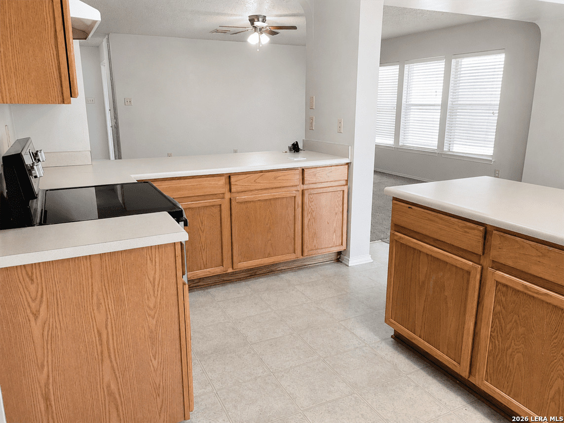 7334 Daulton Ridge Converse, TX 78109 - Photo 4 of 15