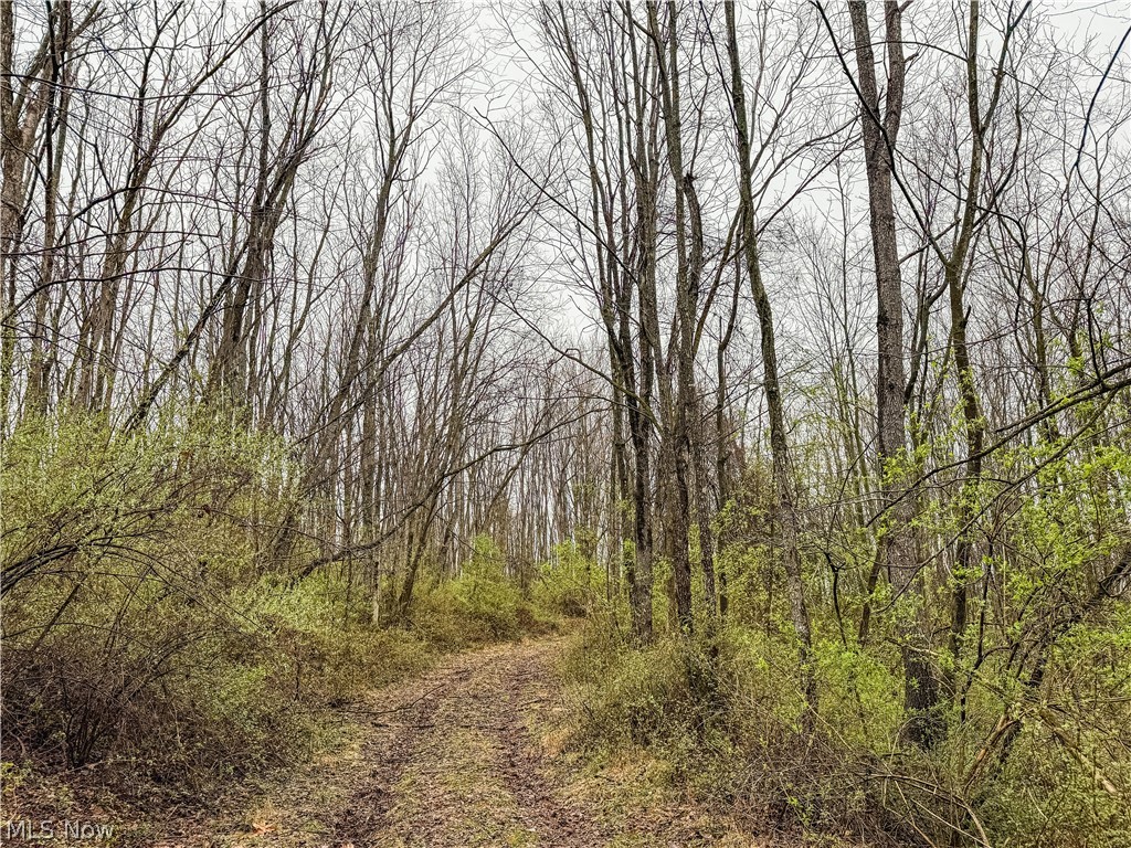Buck Hill Road Frazeysburg, OH 43822 - Photo 4 of 24