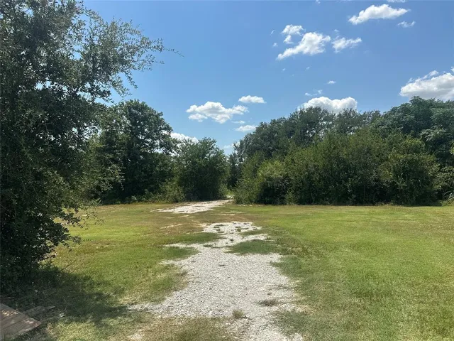 a view of a trees in a yard