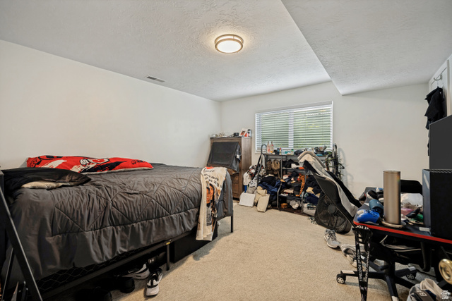 6709 Acoma Road, Unit 239 Midvale, UT 84047 - Photo 20 of 38 6711 - Basement bedroom 1