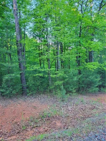 $12,500 | Lot 81 Sutter's Ridge Road, McGrady, NC 28649